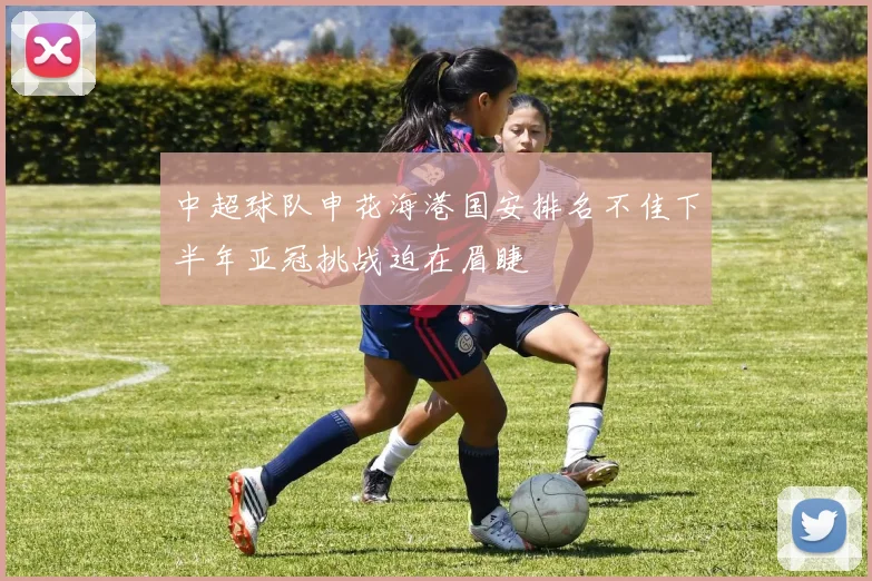 中超球队申花海港国安排名不佳下半年亚冠挑战迫在眉睫