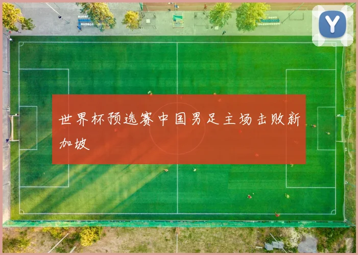世界杯预选赛中国男足主场击败新加坡