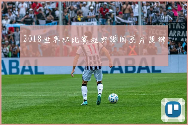 2018世界杯比赛经典瞬间图片集锦