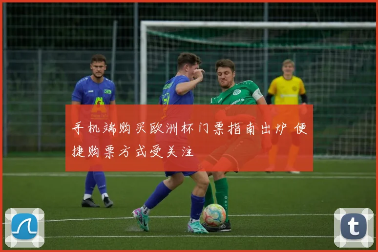 手机端购买欧洲杯门票指南出炉 便捷购票方式受关注