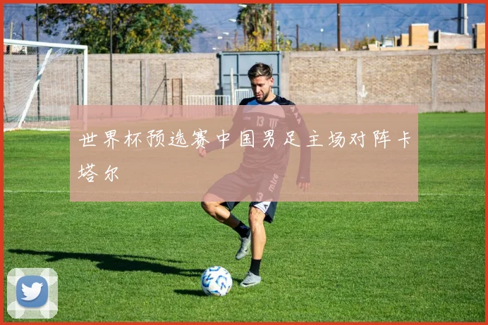 世界杯预选赛中国男足主场对阵卡塔尔