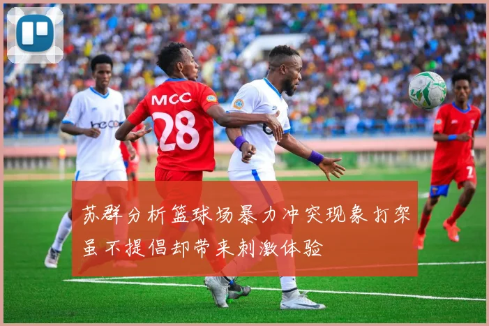 苏群分析篮球场暴力冲突现象打架虽不提倡却带来刺激体验